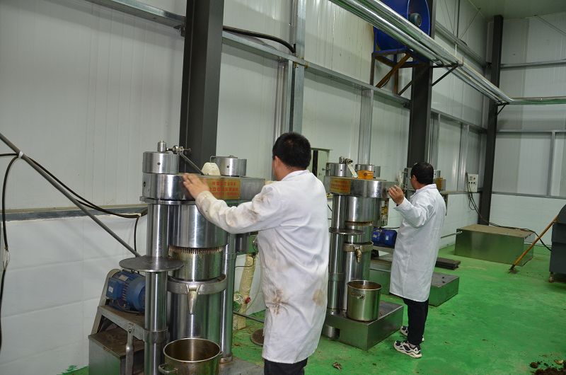 product-800-530 product-800-530